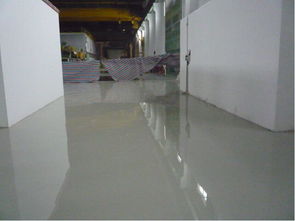 哈尔滨食品厂洁净车间 环氧地坪漆的选择与应用指南